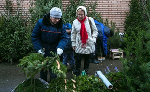 «Конкуренция плюс большинство стало ставить вместо натуральных искусственные елки»