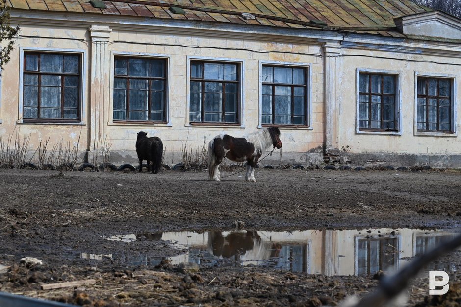 поселок Аракчино