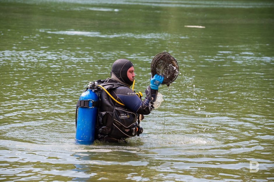 водолазы