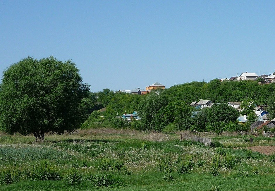 Арское городище. Вид с левого берега Казанки. 2010 г. Фото З.Г.Шакирова