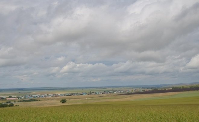 В Башкирии ожидается усиление ветра