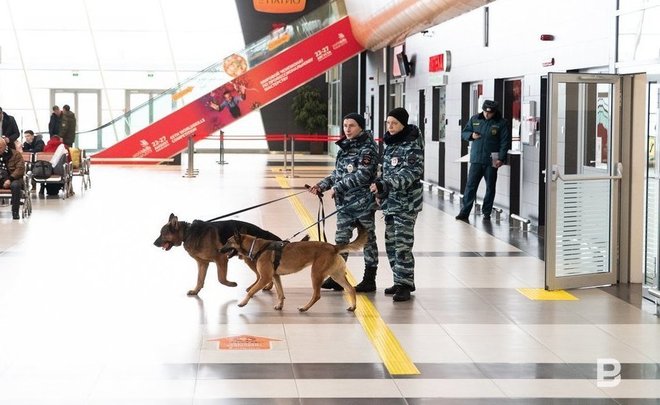 В аэропорту Казани в багаже азербайджанца нашли больше 10 кг пиявок