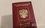 Выдача загранпаспортов в России выросла на 18%