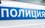 В Москве автозак с задержанными перевернулся — пострадали девять человек