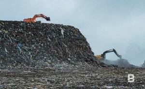 На ликвидацию несанкционированных свалок в Нижнем Новгороде требуется 20 миллионов рублей