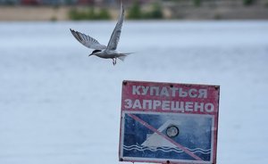 Мэрия Йошкар-Олы сообщила об открытии пляжного сезона