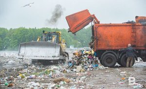 Суд обязал Минлесхоз Оренбуржья ликвидировать свалки под Соль-Илецком