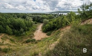 В Татарстане в этом году не произошло ни одного лесного пожара